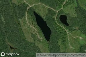 Lac Cache