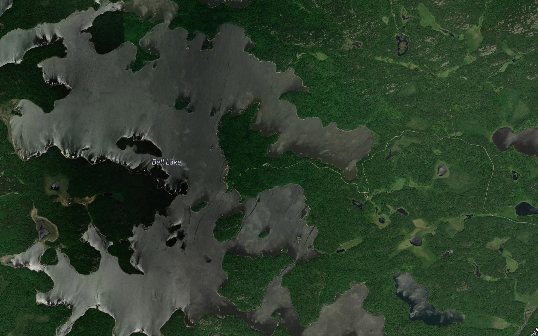 Satellite map of the Ball Lake