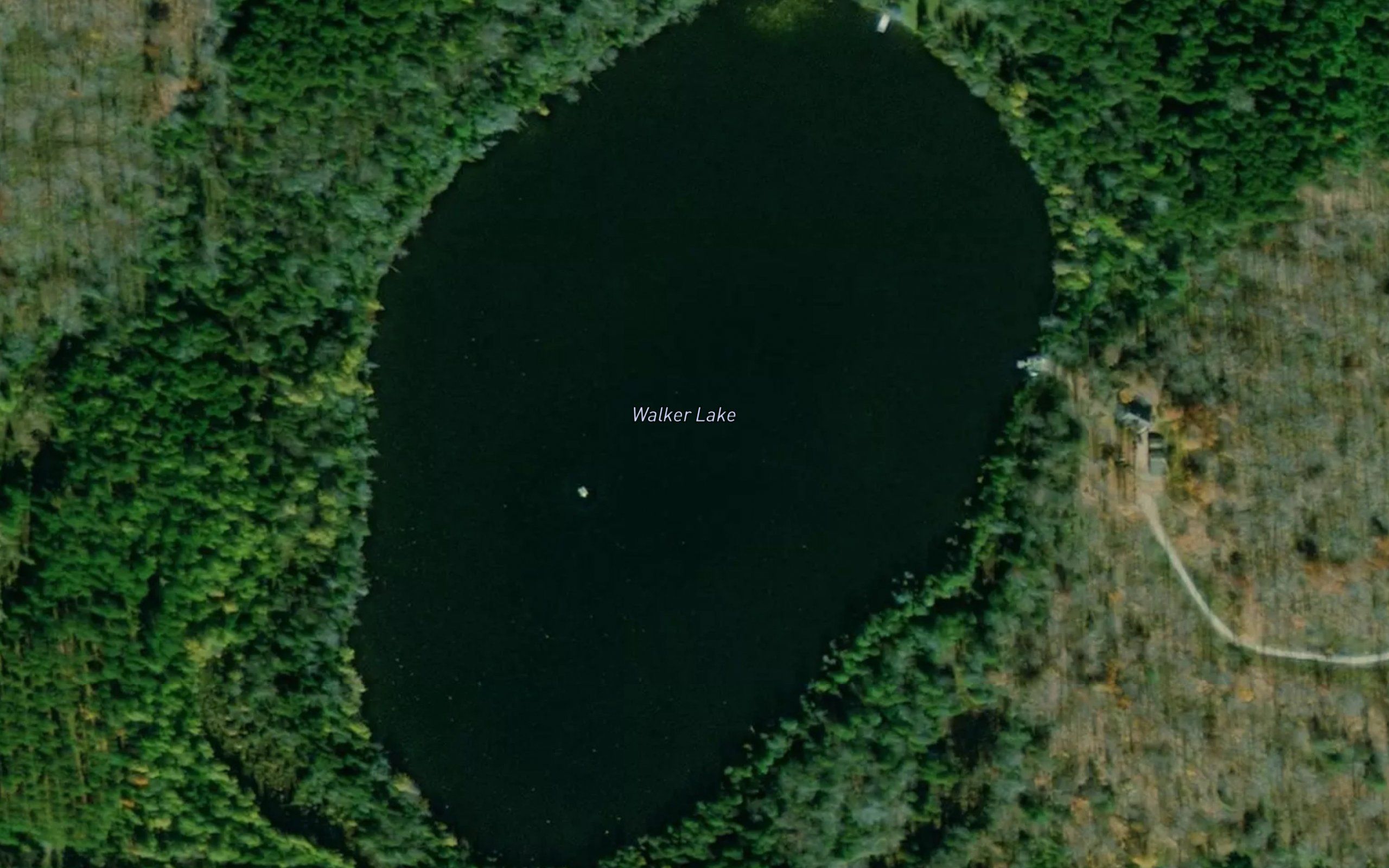 Walker Lake