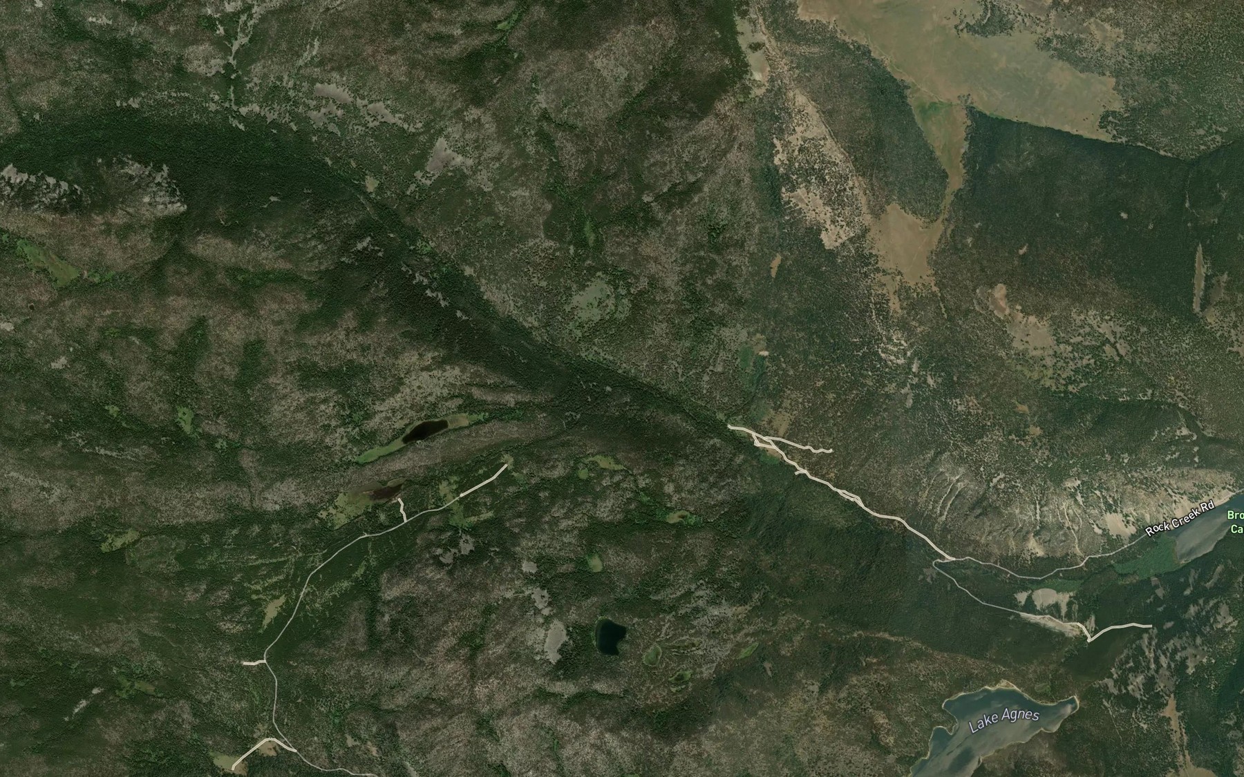 Satellite map of the Long Branch