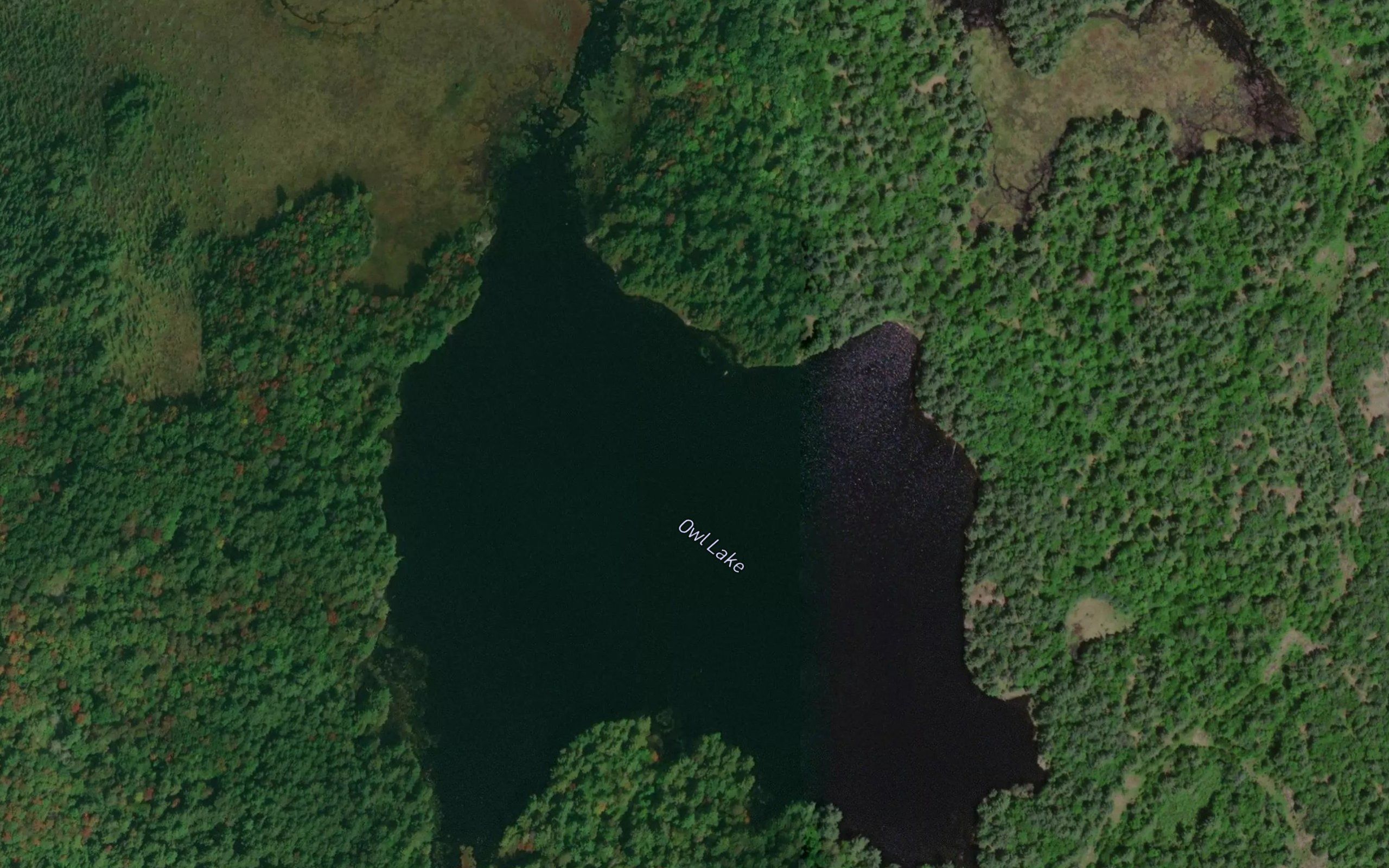 Owl Lake