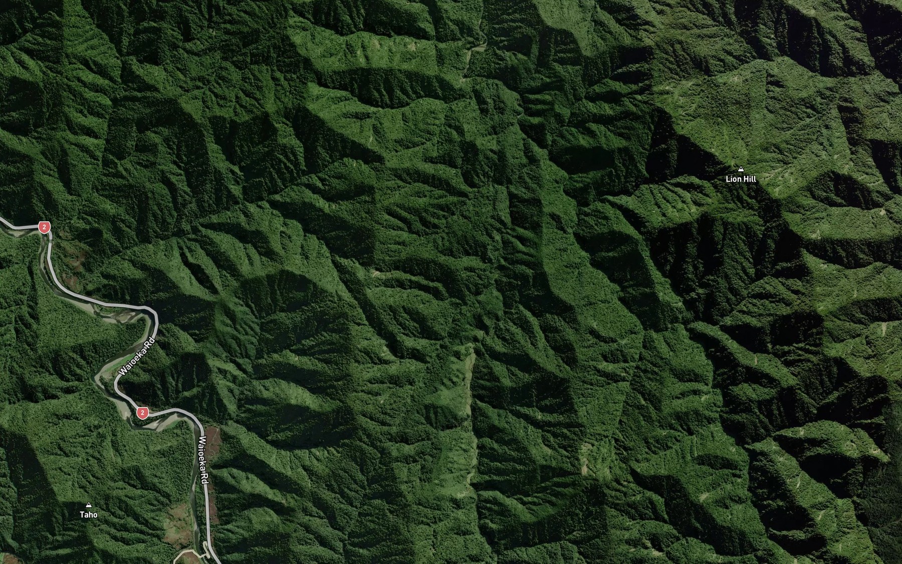 Satellite map of the Raetakahia Stream