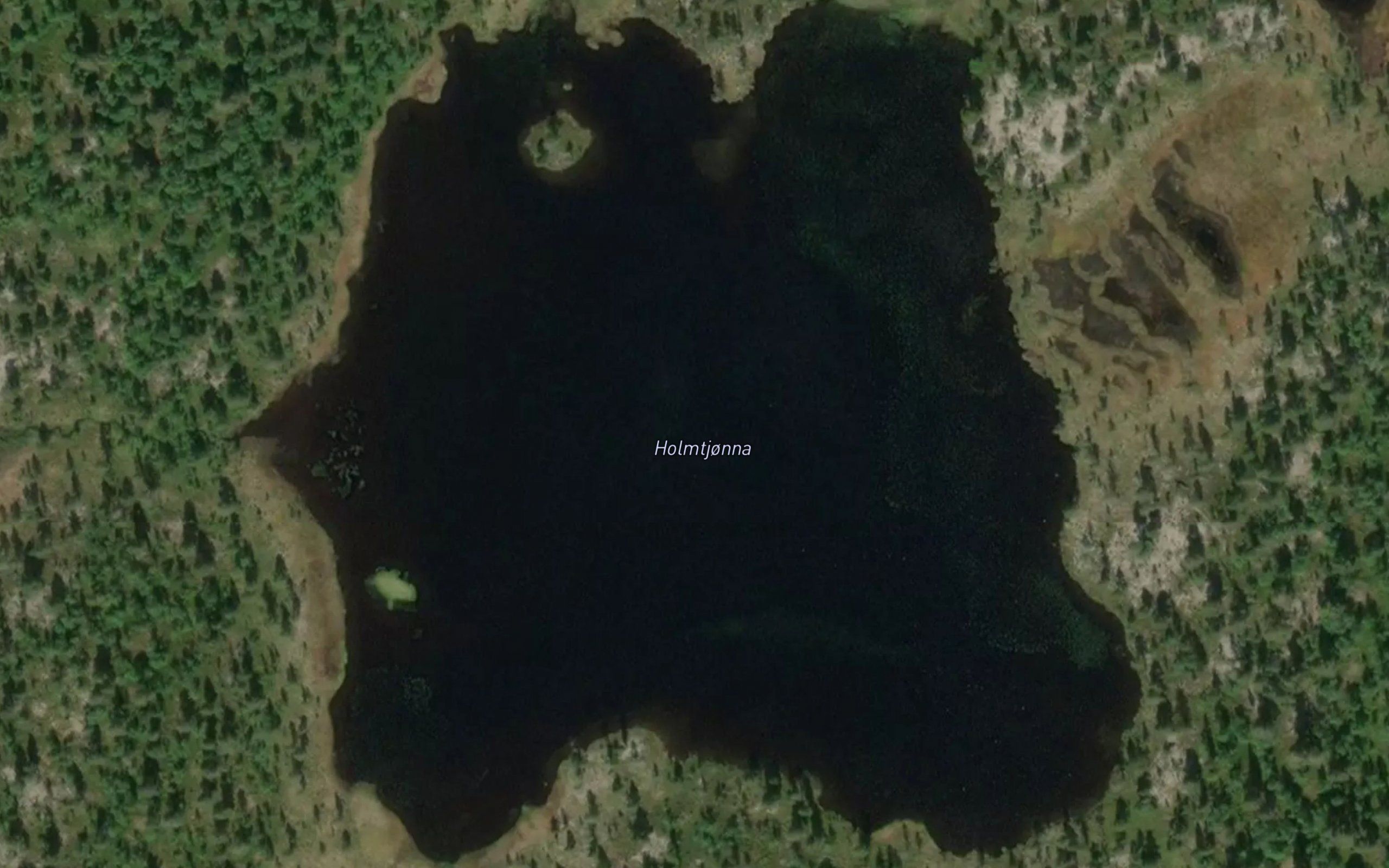 Holmtjorna