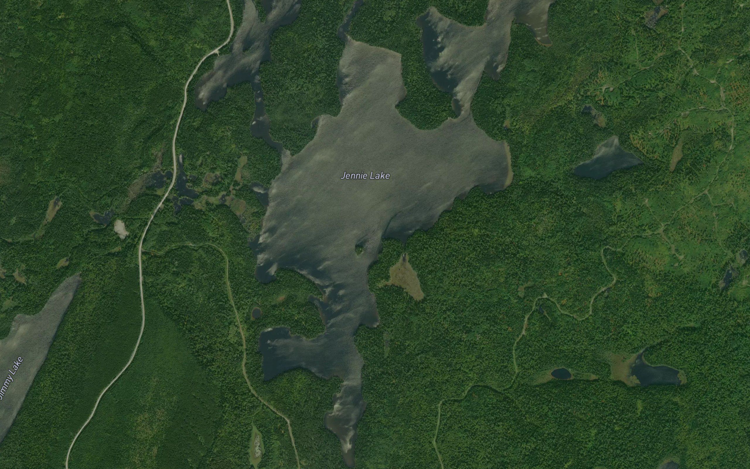 Jennie Lake