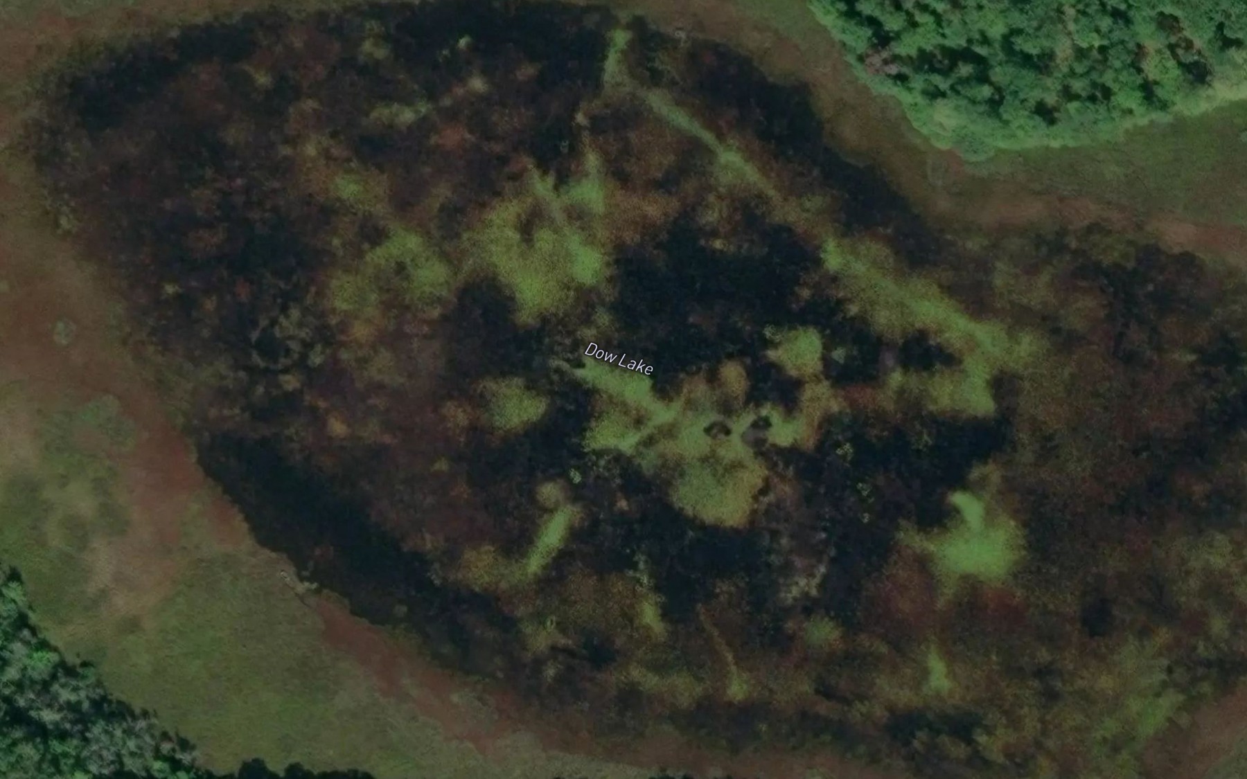 Satellite map of the Dow Lake