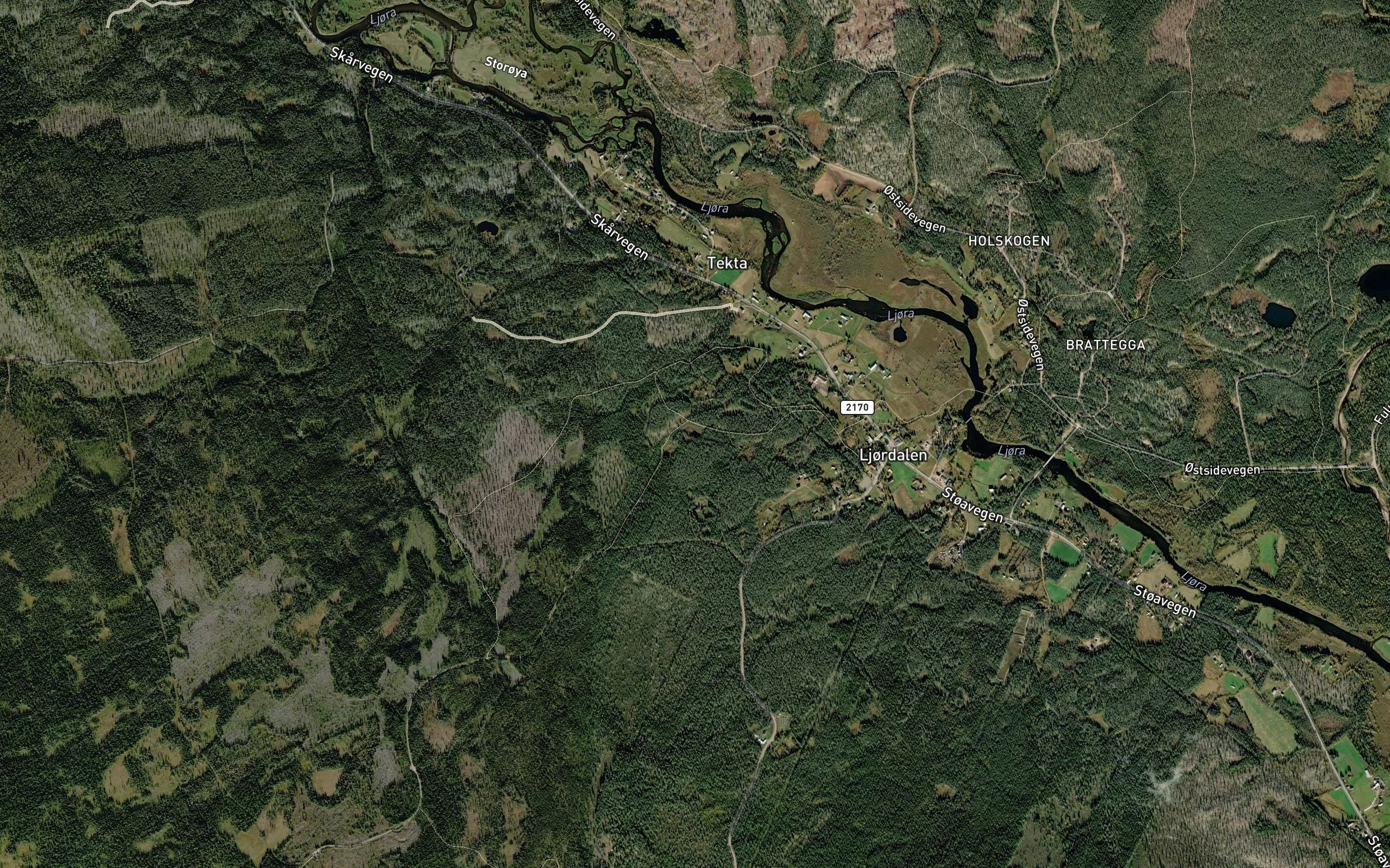 Harptjonna