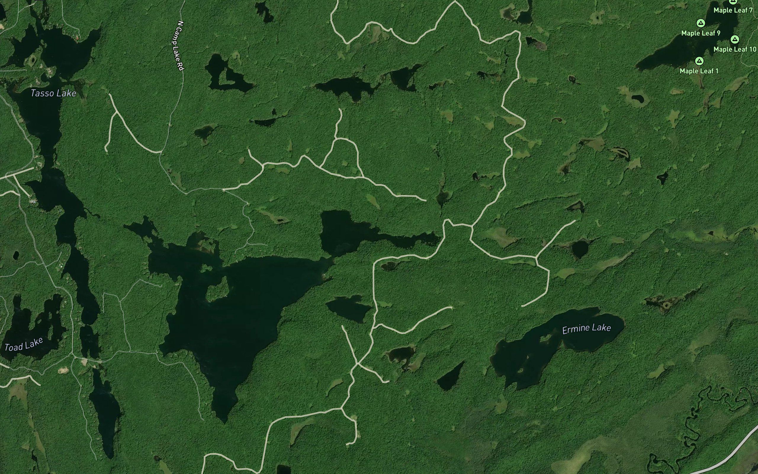 Flossie Lake
