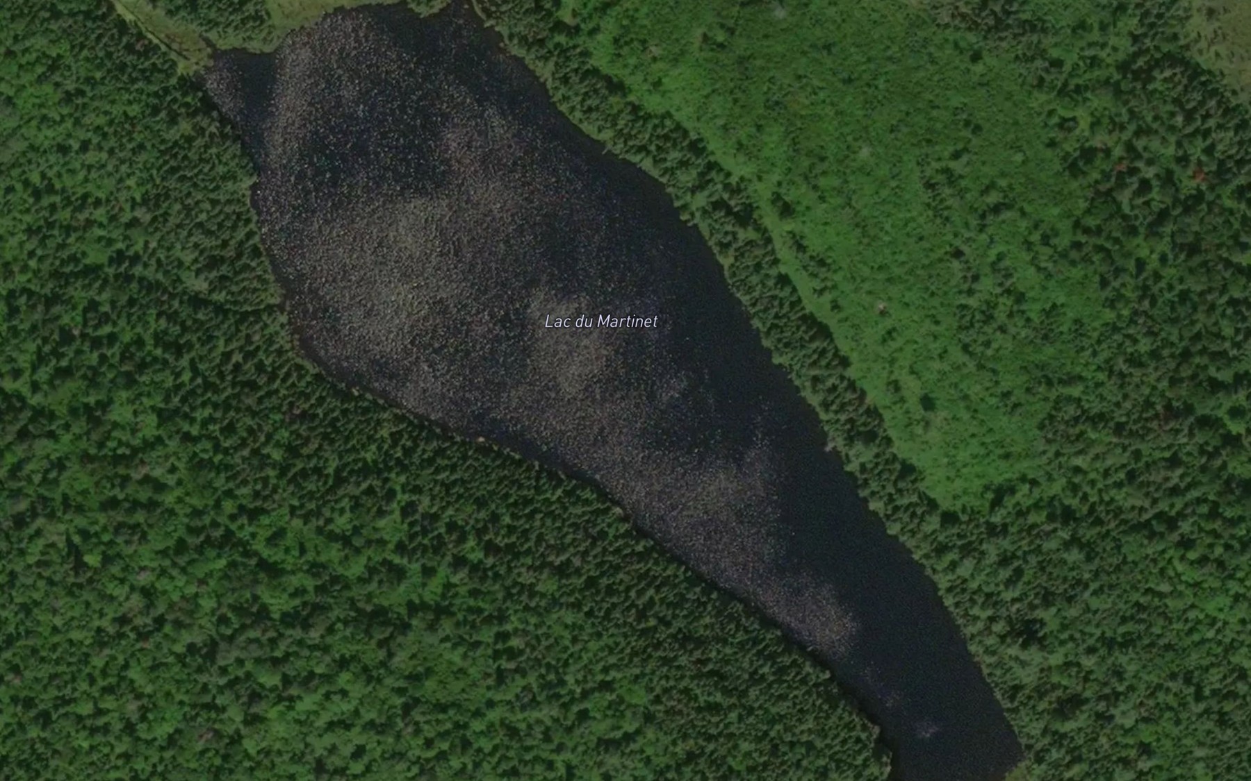 Satellite map of the Lac du Martinet