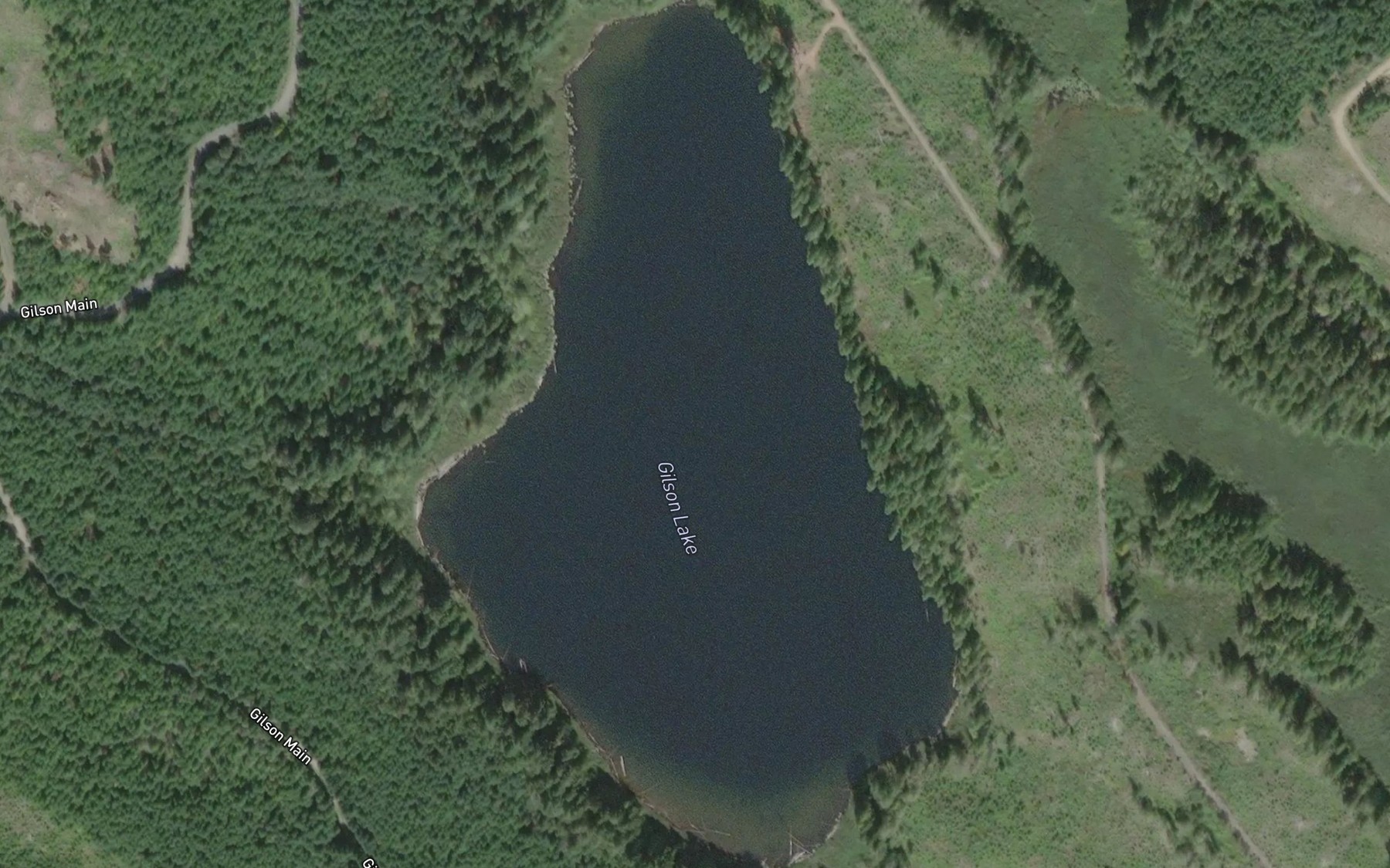 Satellite map of the Gilson Lake