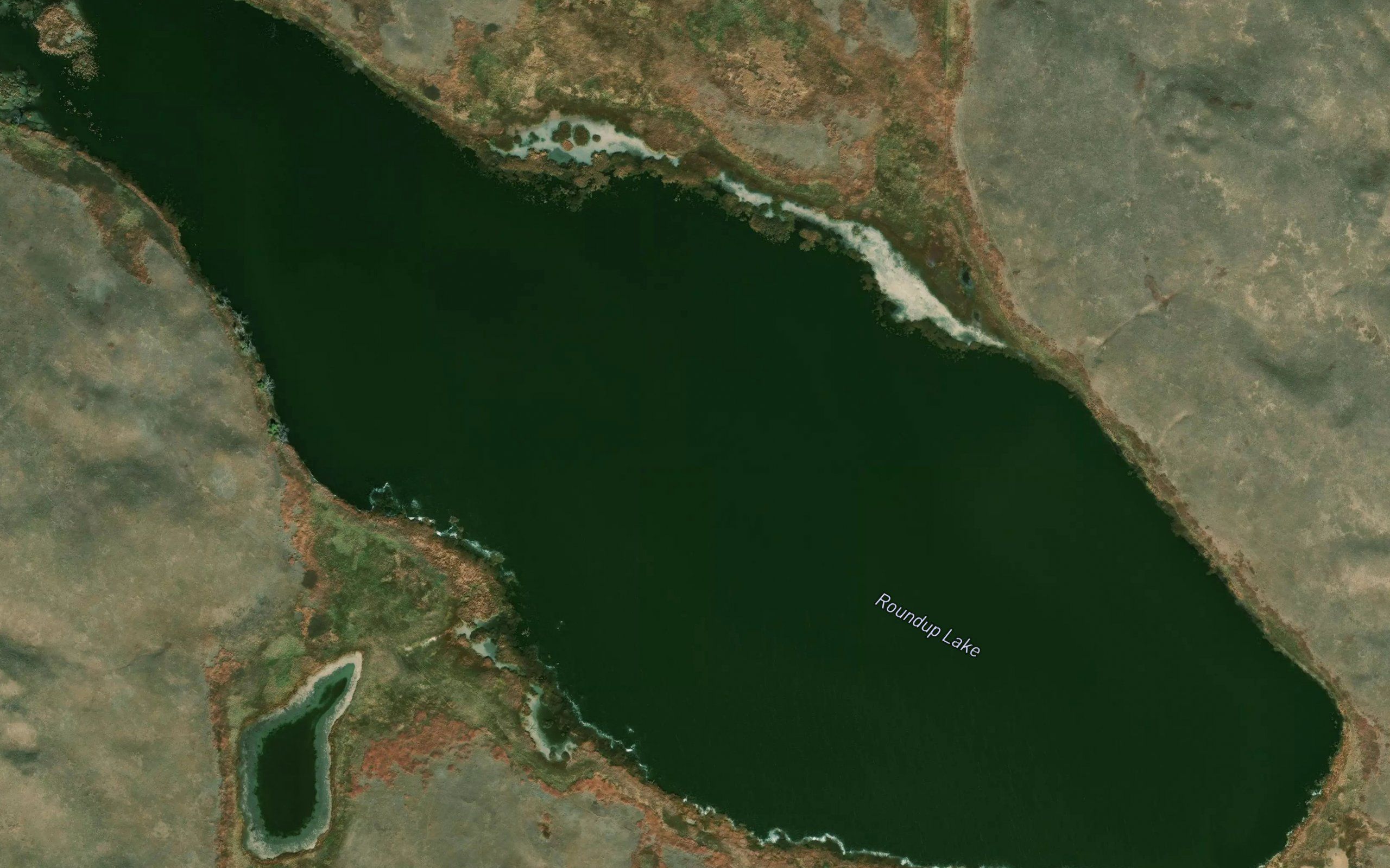 Roundup Lake