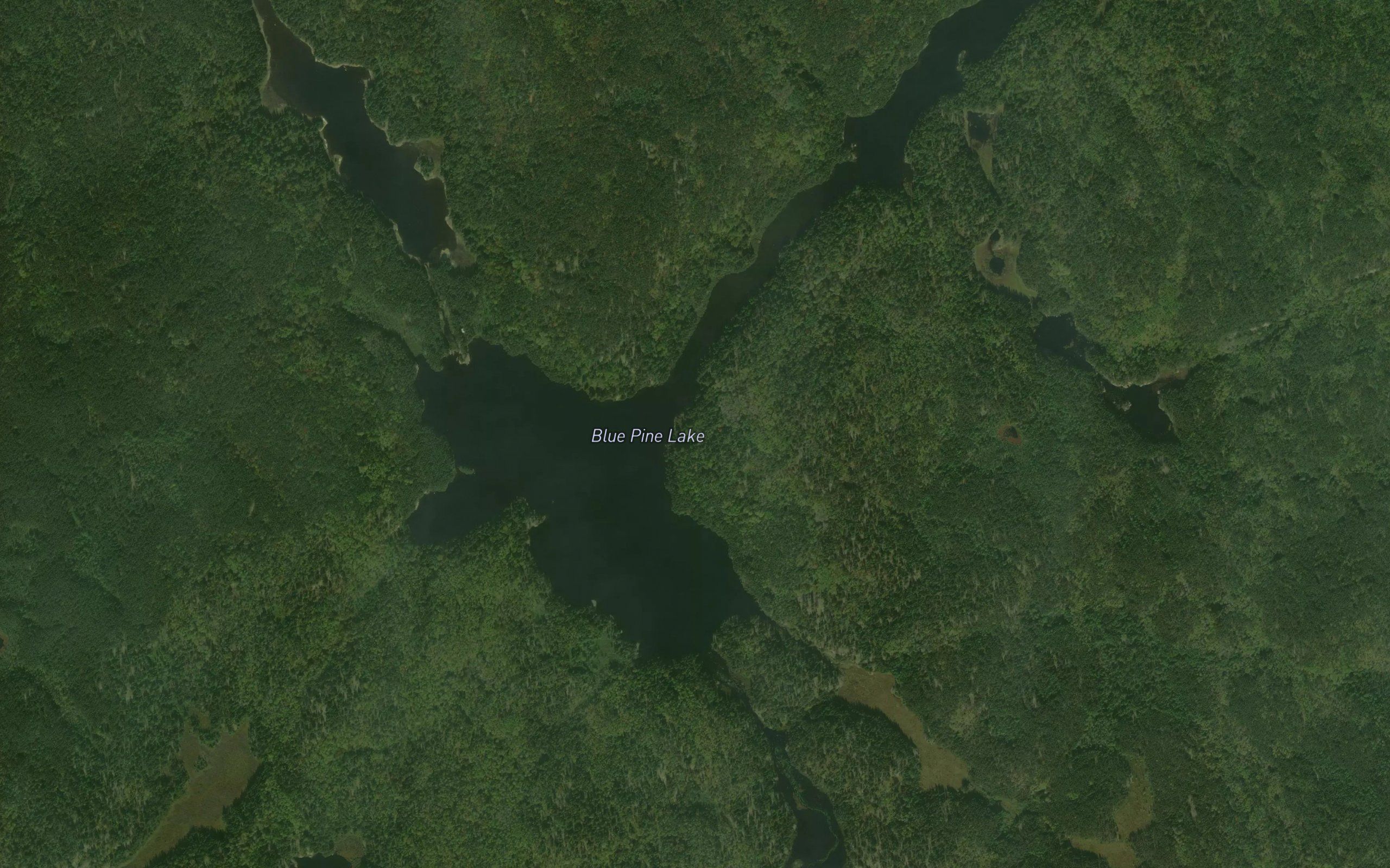 Blue Pine Lake