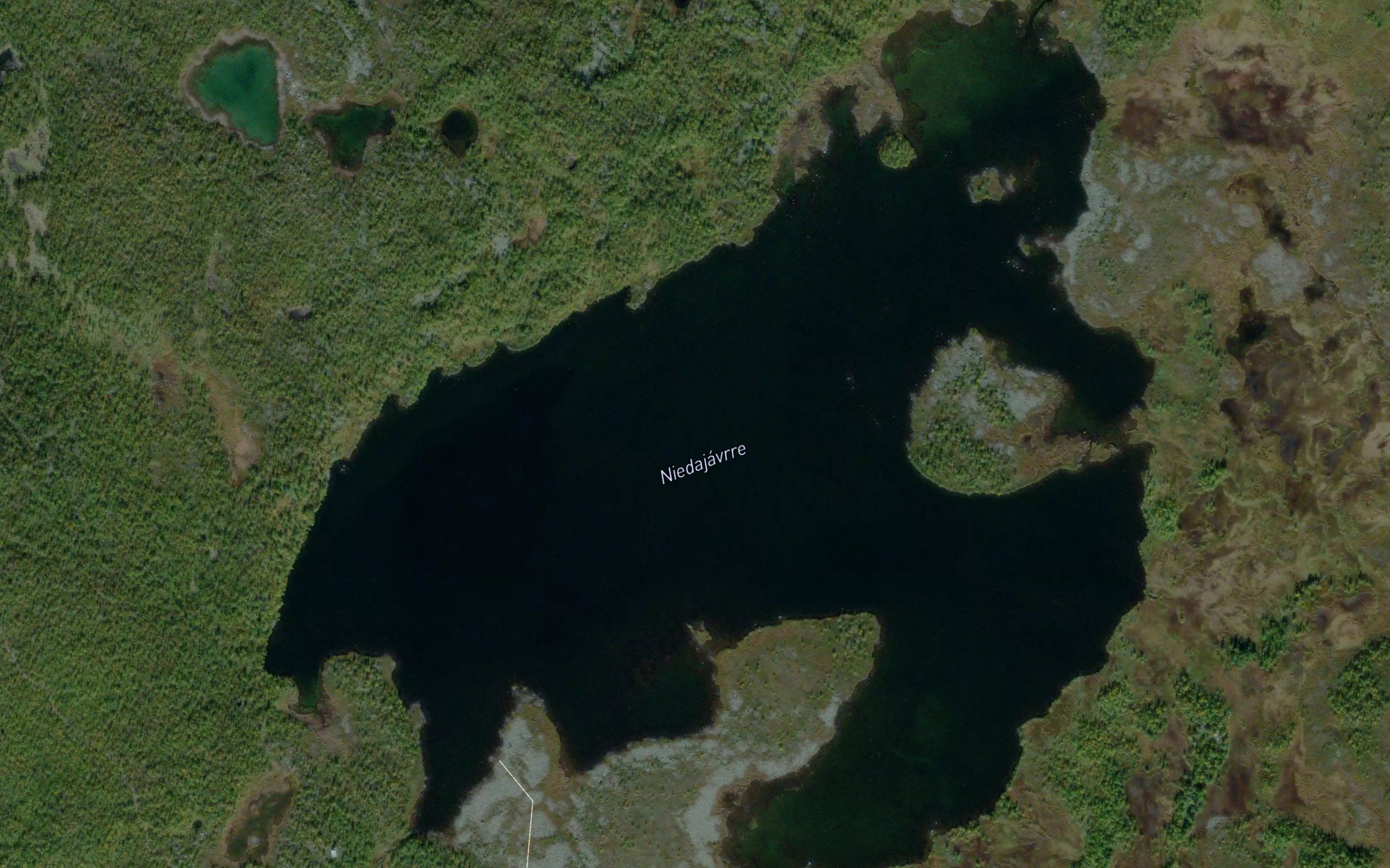 Niedajavrre