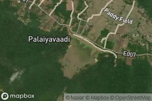 Palayawady Kulam