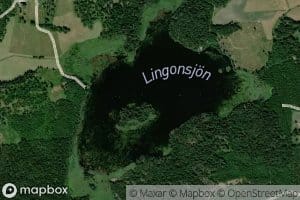 Lingonsjoen