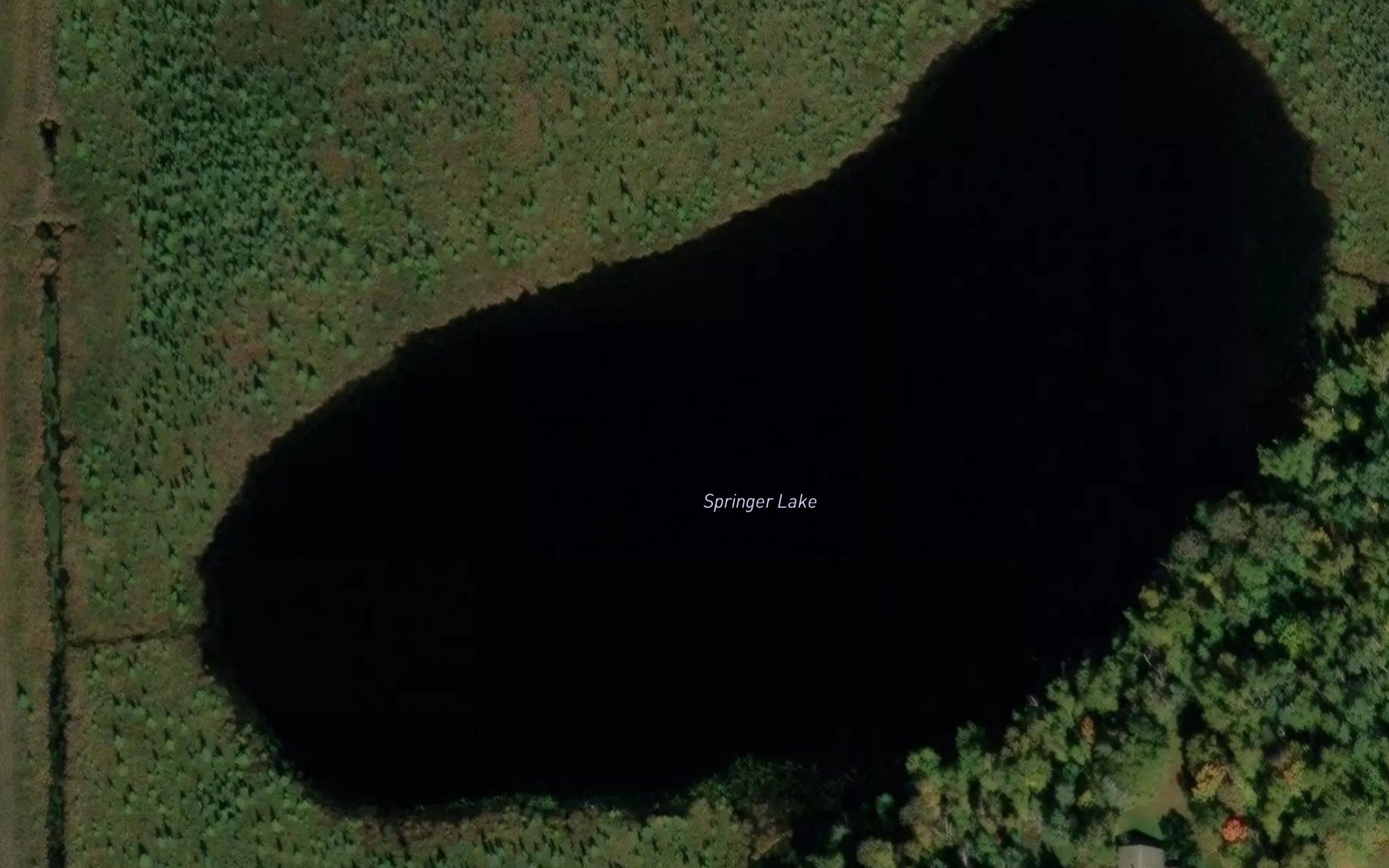 Springer Lake