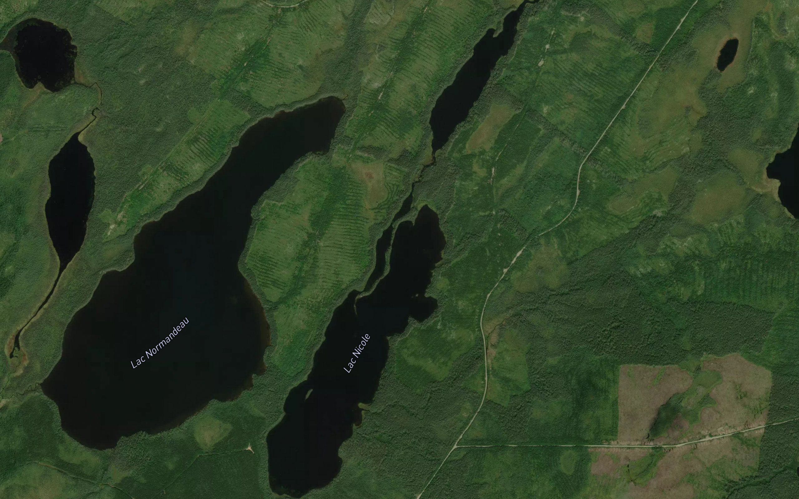 Lac Nicole
