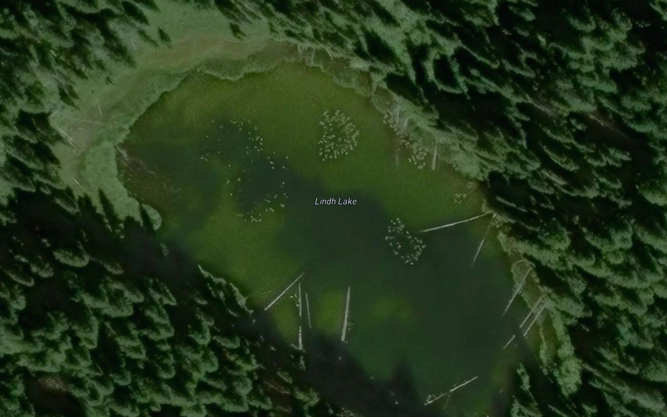 Lindh Lake