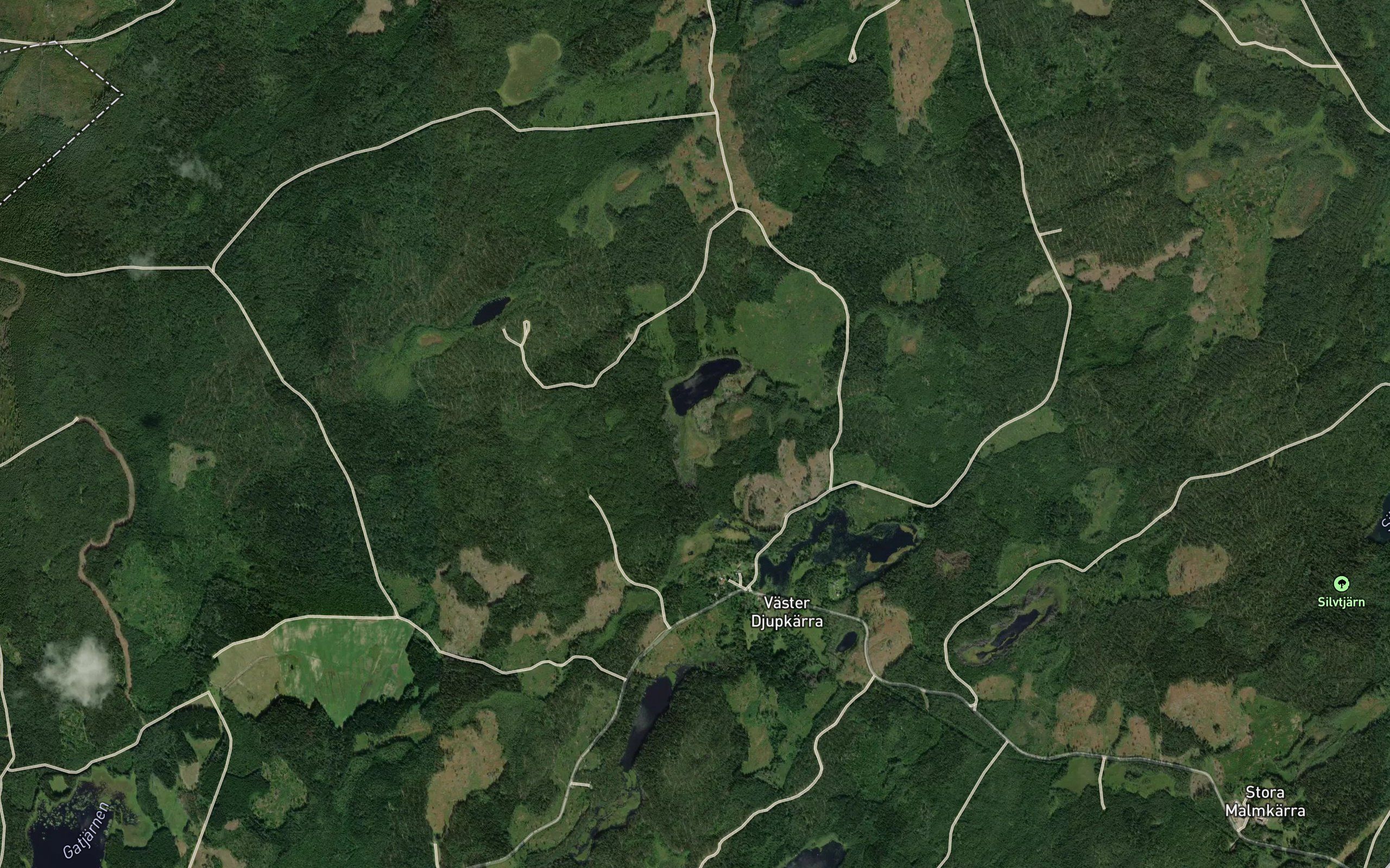 Vasstjarn