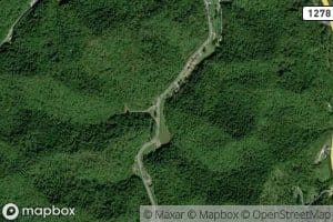 Trace Branch