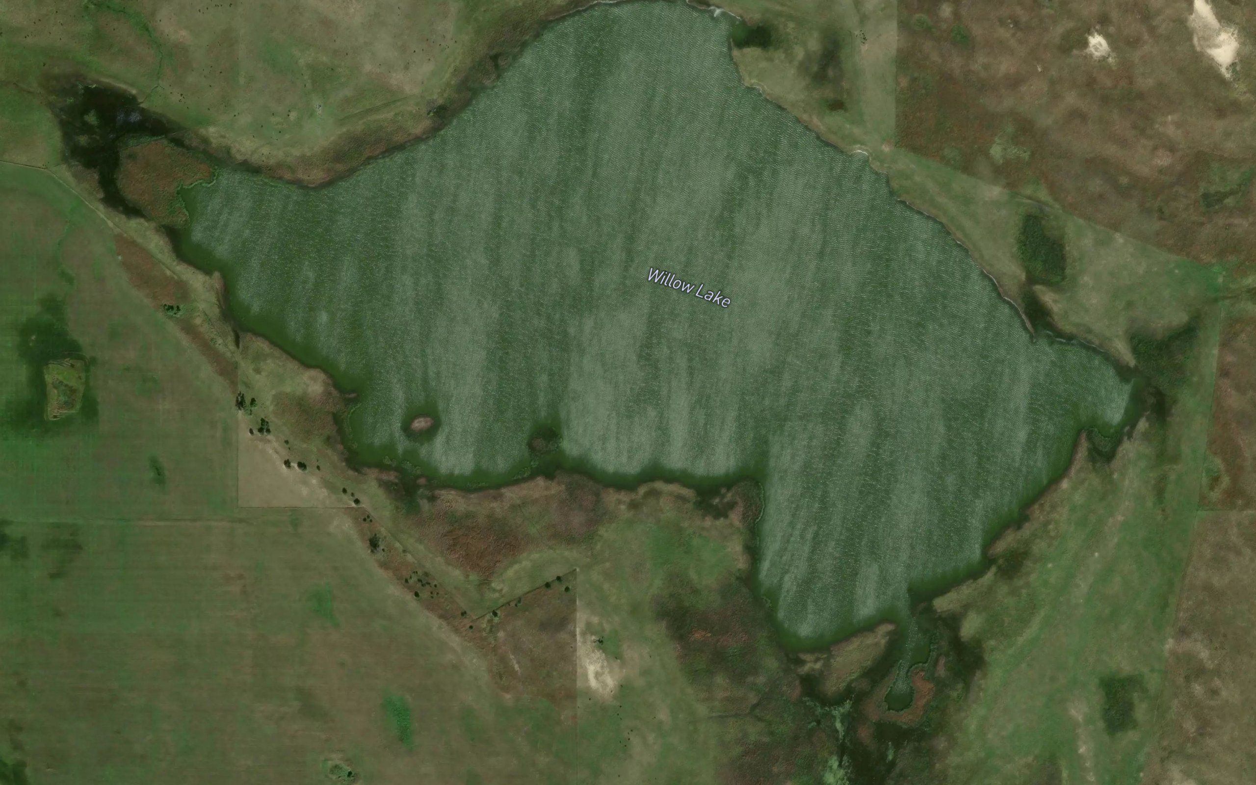 Willow Lake
