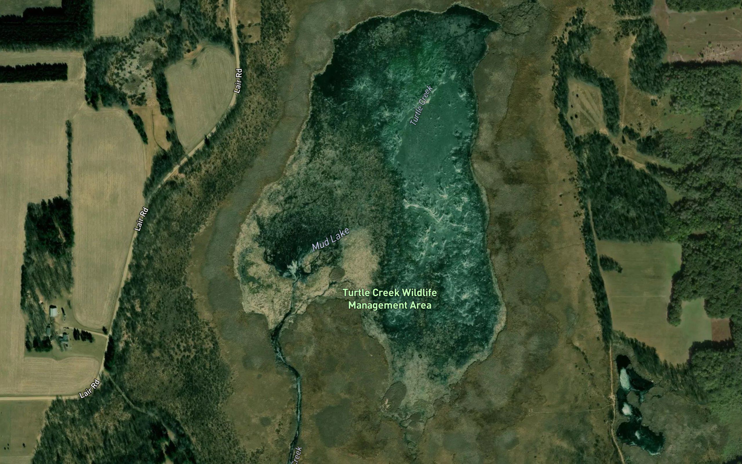 Mud Lake