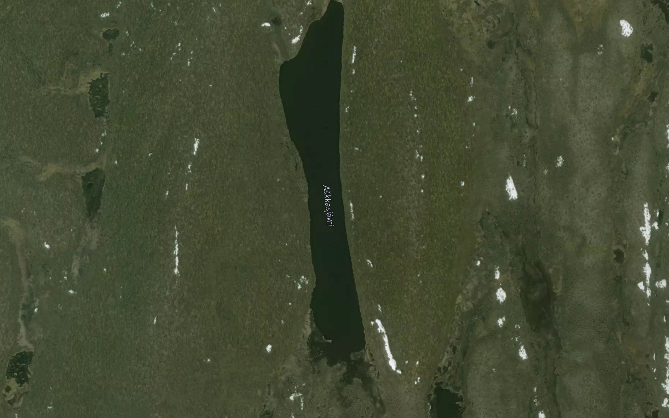 Askasjavri