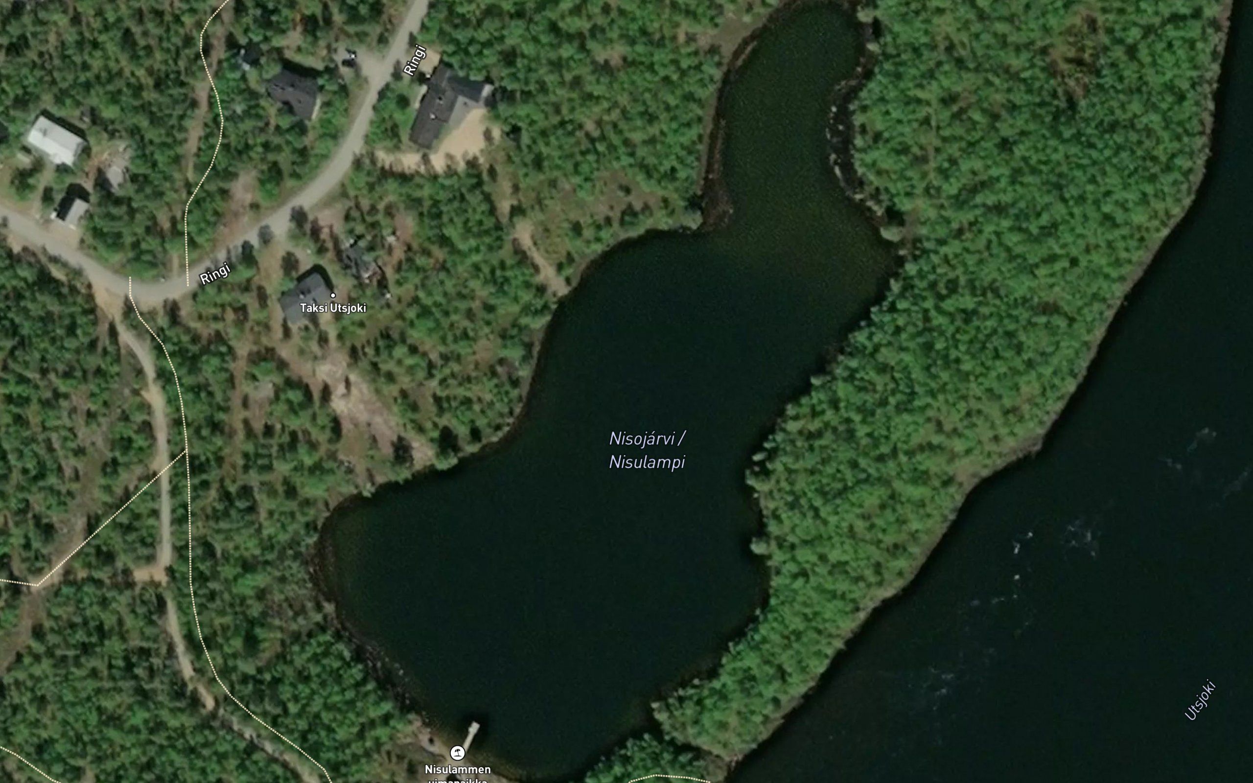 Nisojavri