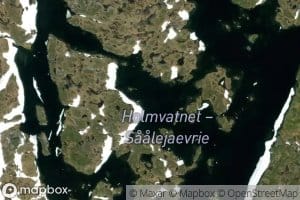Saalejaevrie