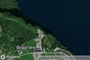 Bukkeflavika