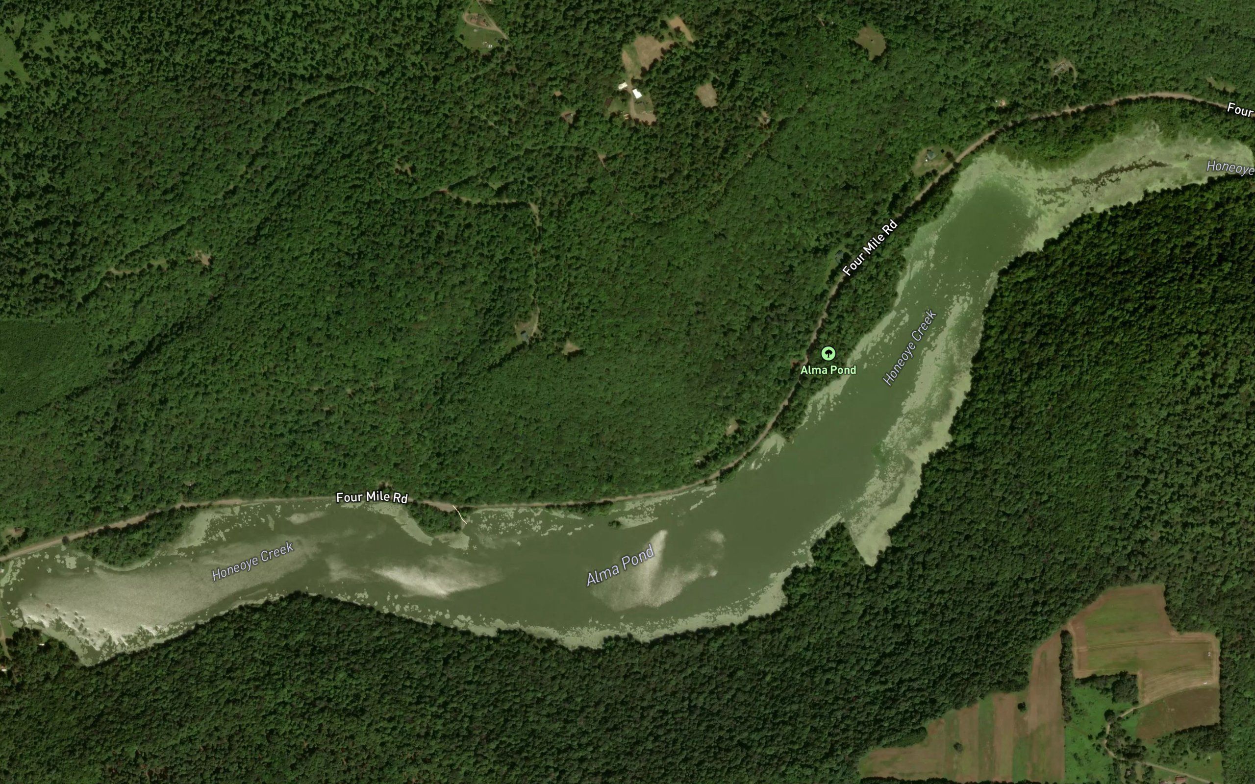 Beaver Lake