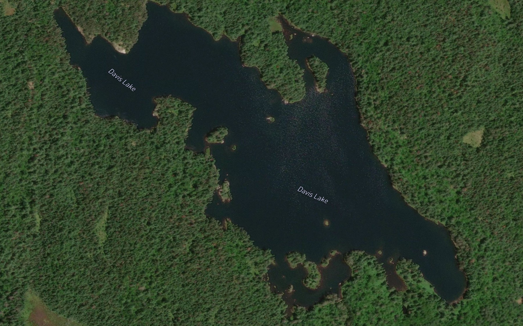 Satellite map of the Davis Lake