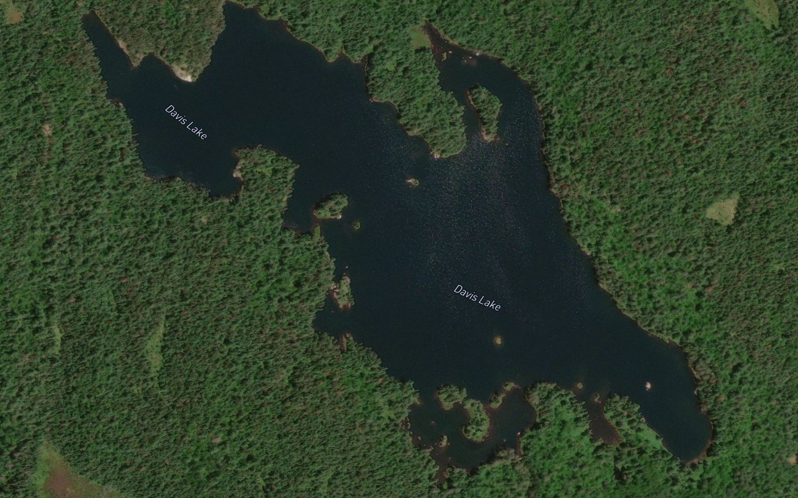 Davis Lake