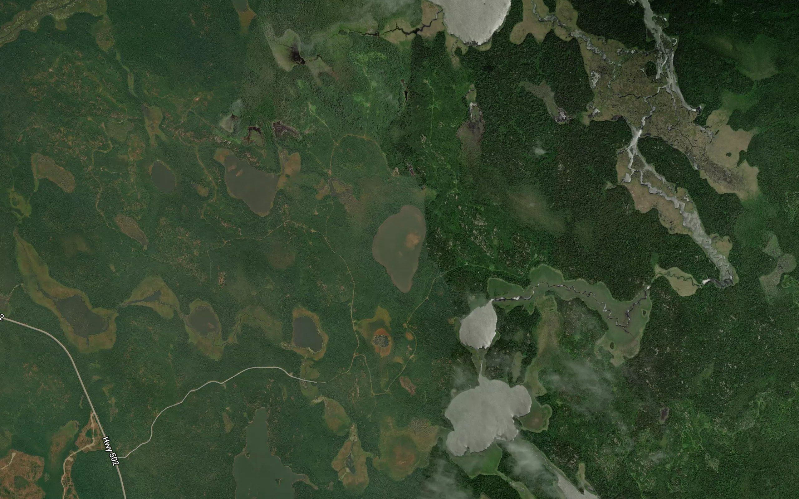 Orchid Lake