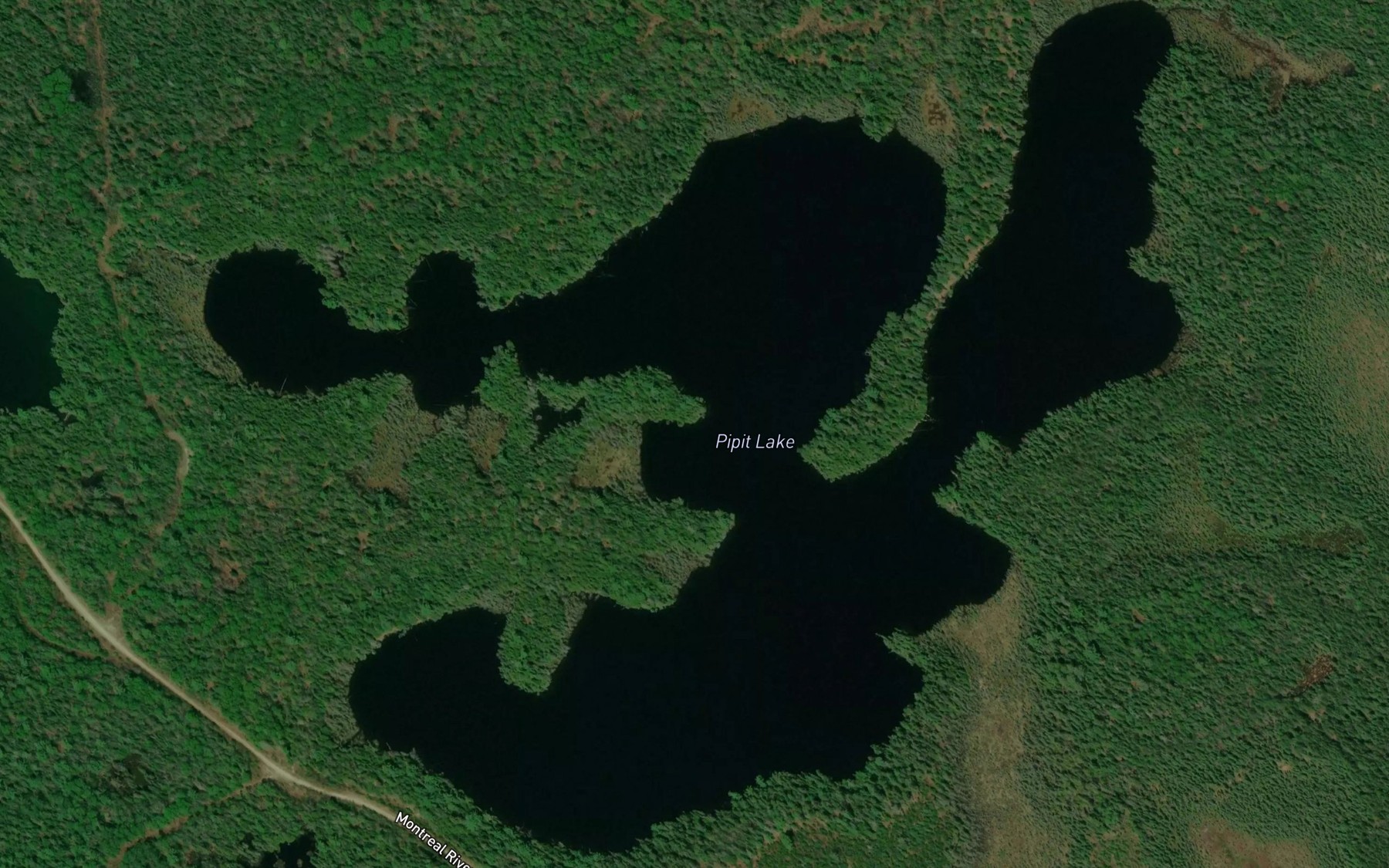 Satellite map of the Pipit Lake