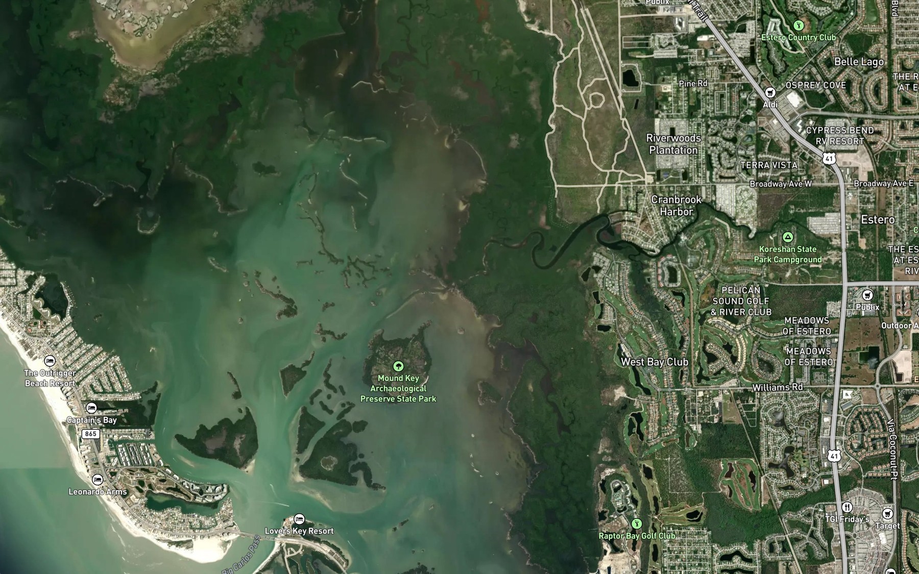 Satellite map of the Estero River
