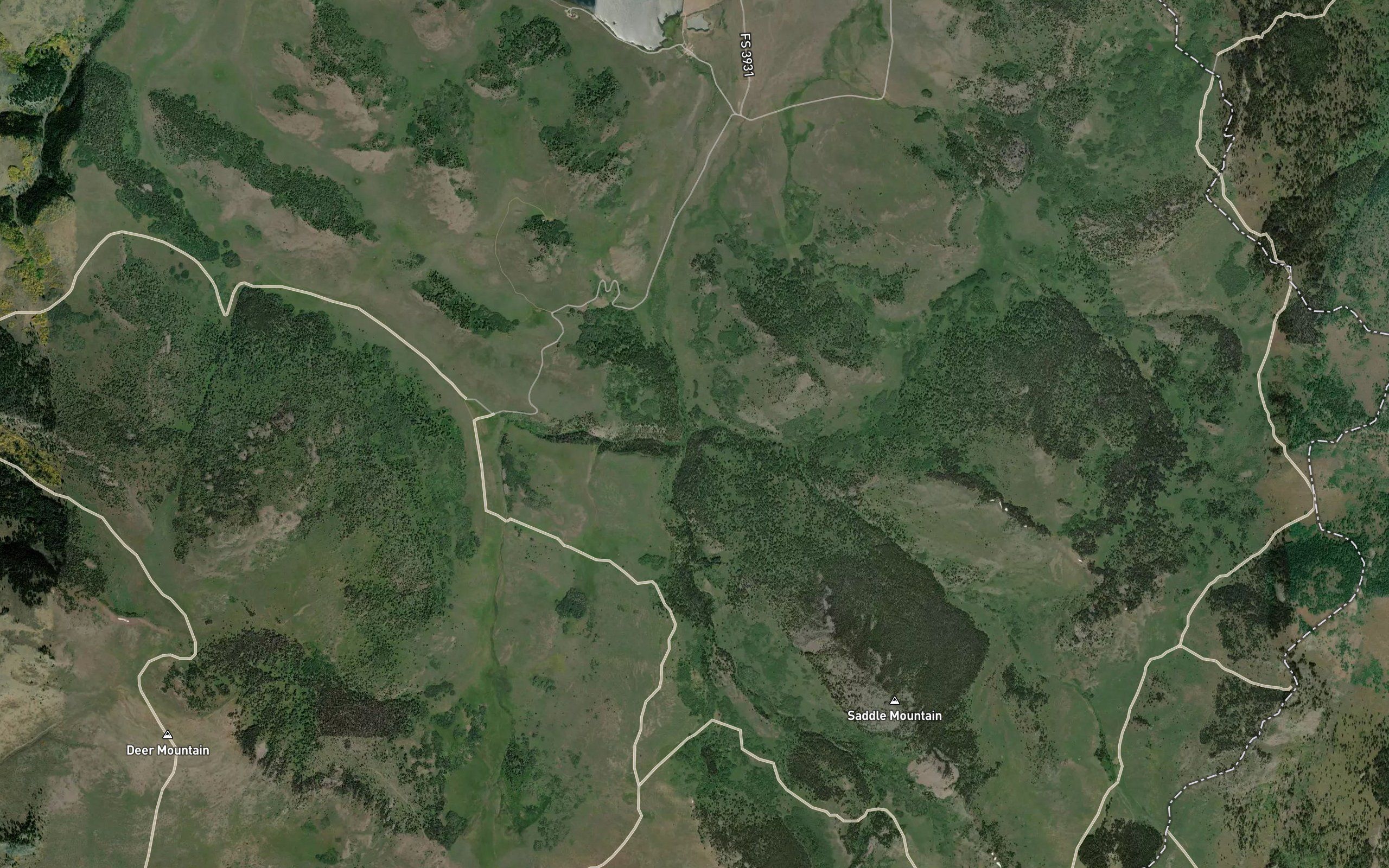 Anthill Creek