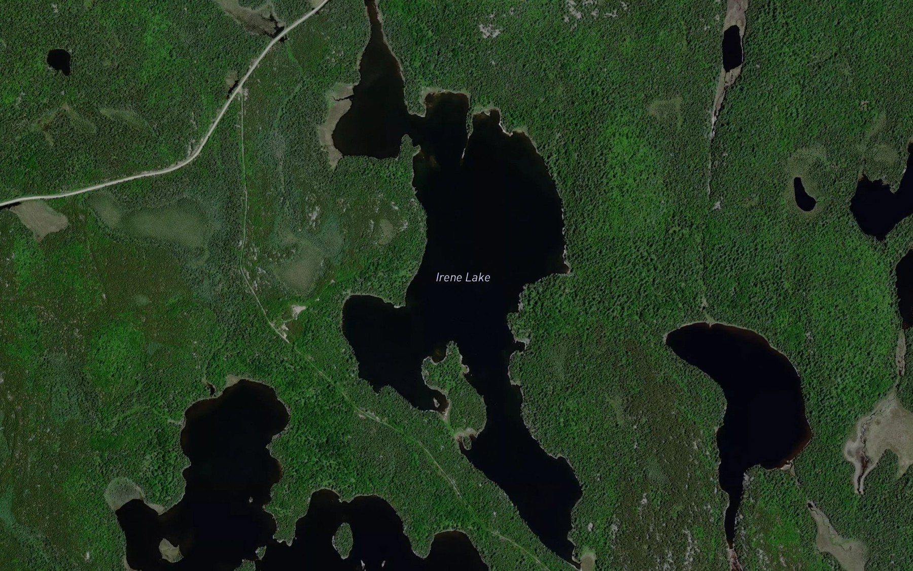 Satellite map of the Irene Lake