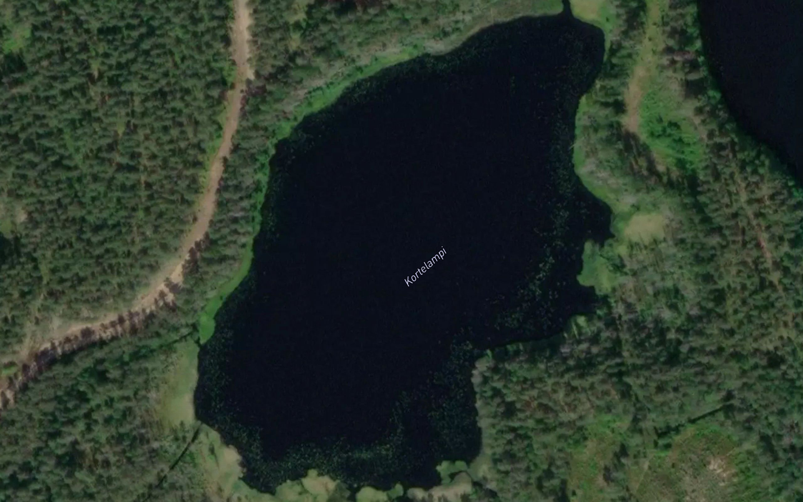 Kortelampi