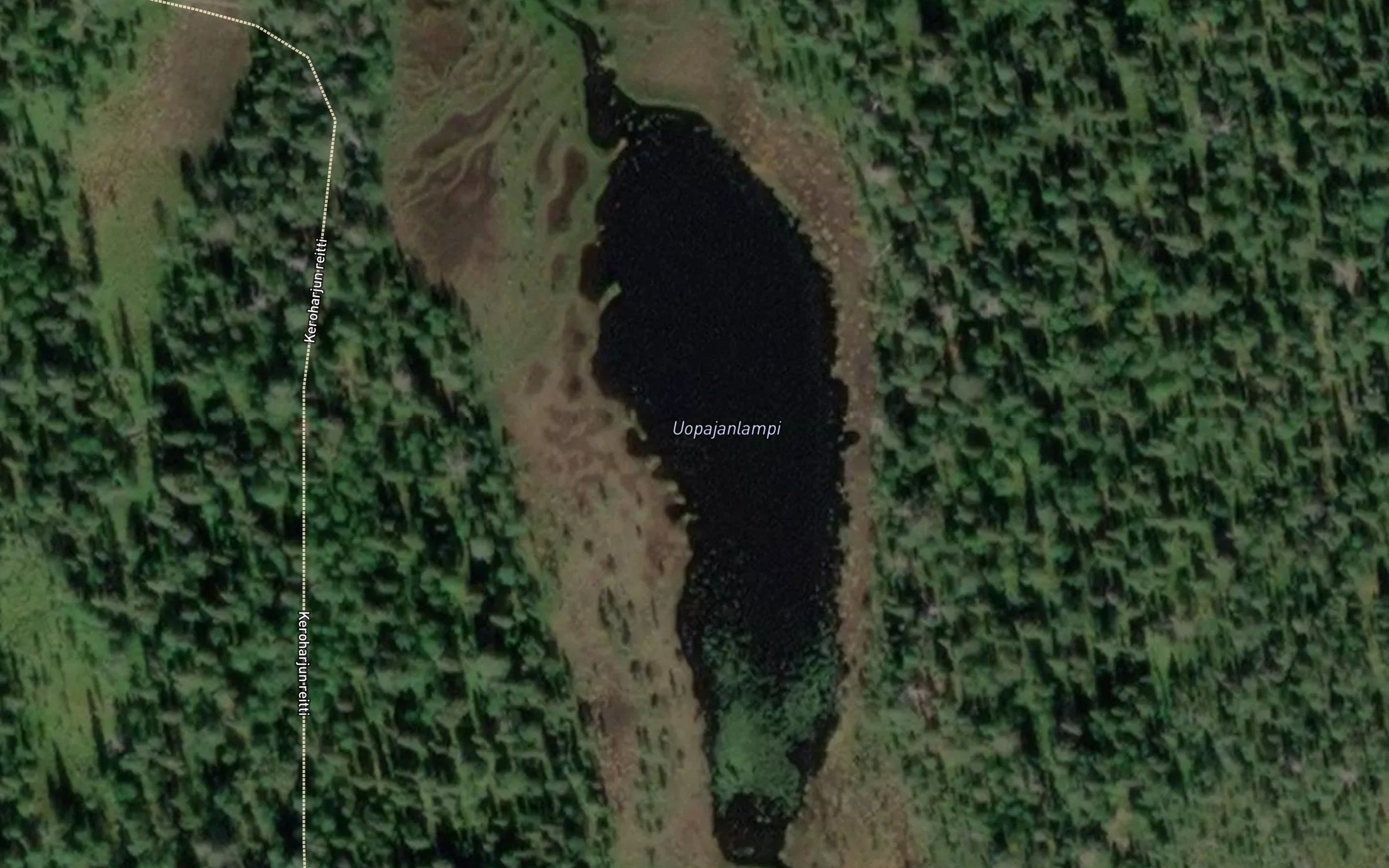 Uopajanlampi