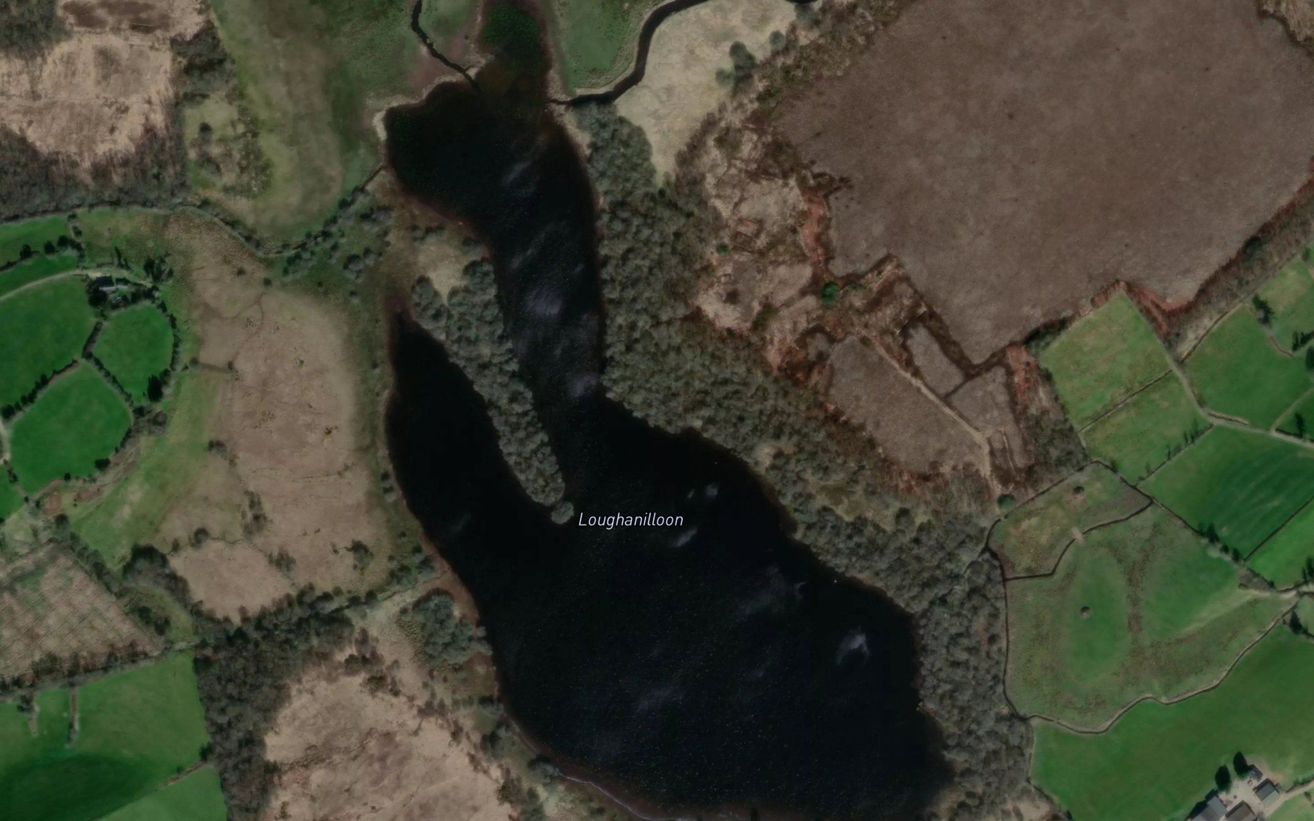 Loughanilloon