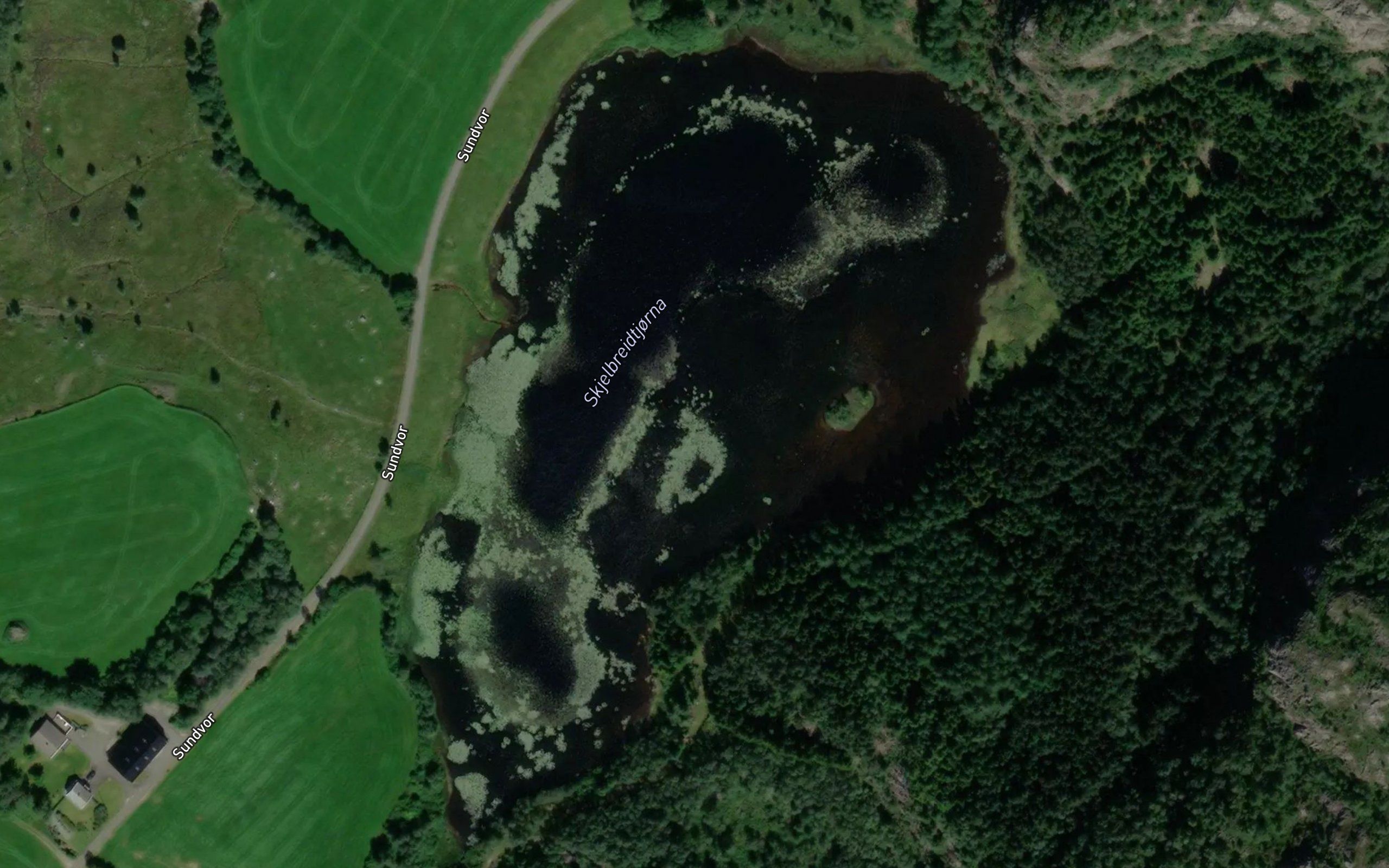 Skjellbreitjorna