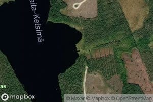 Leppapuro