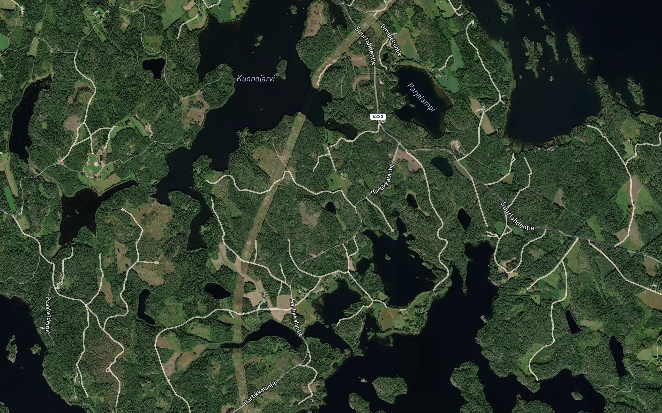 Lehmalampi