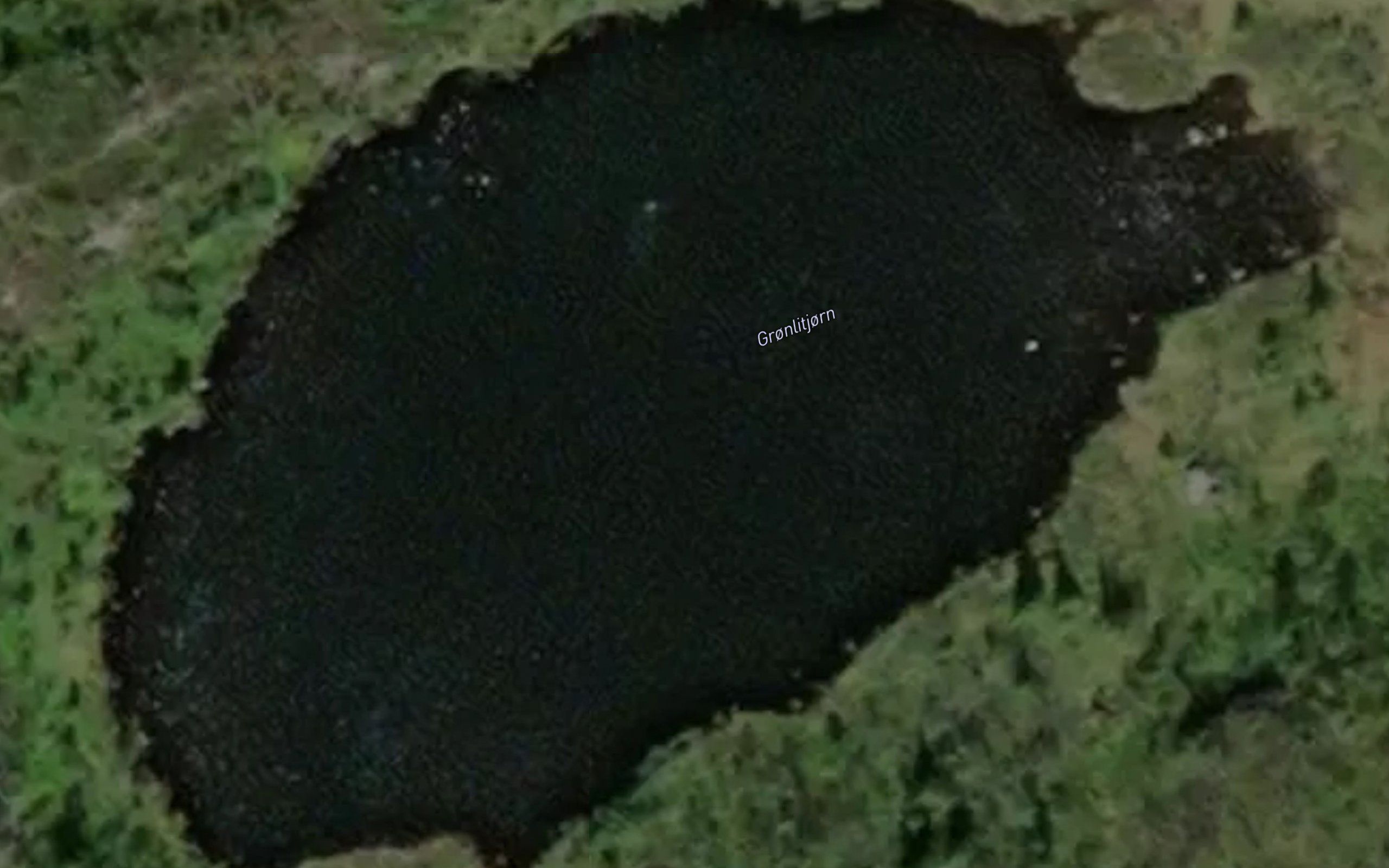 Gronelitjonni