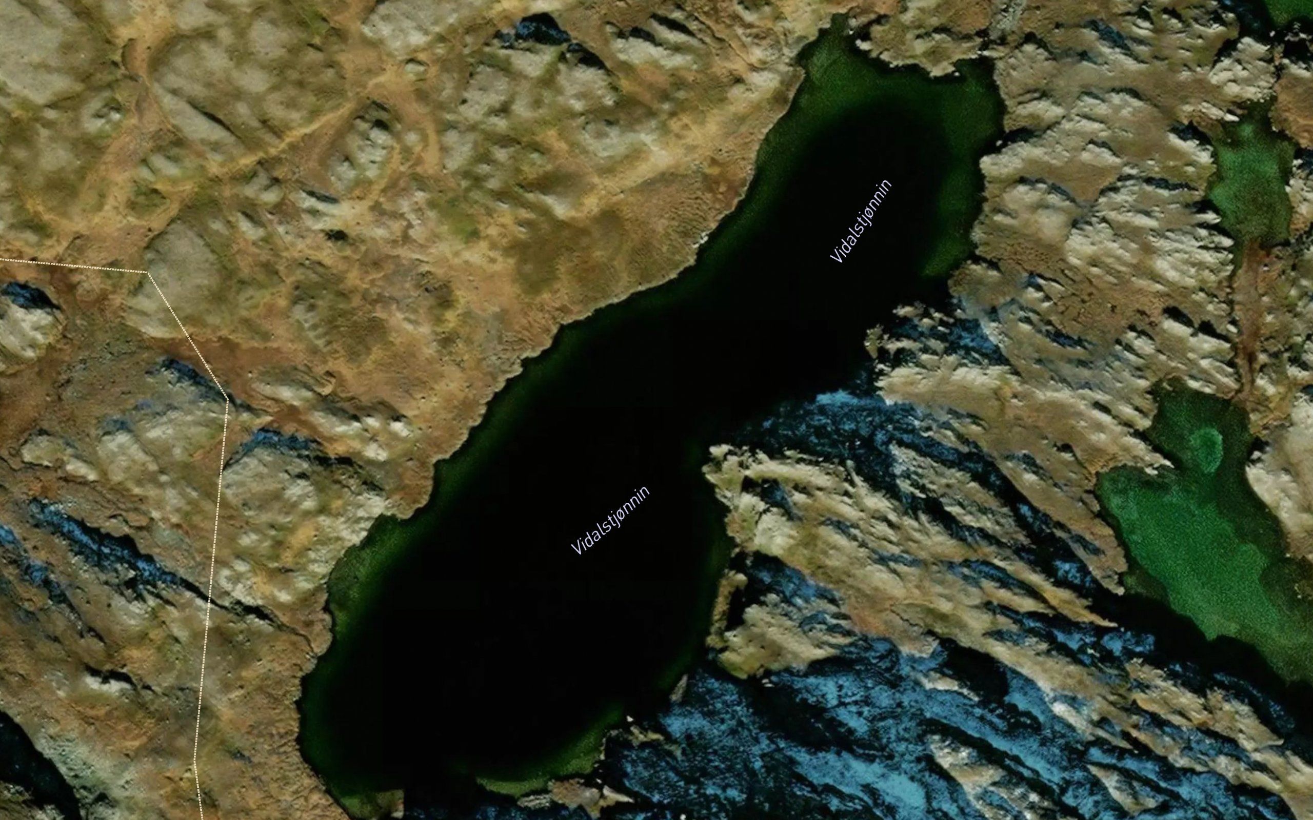 Vidartjornin
