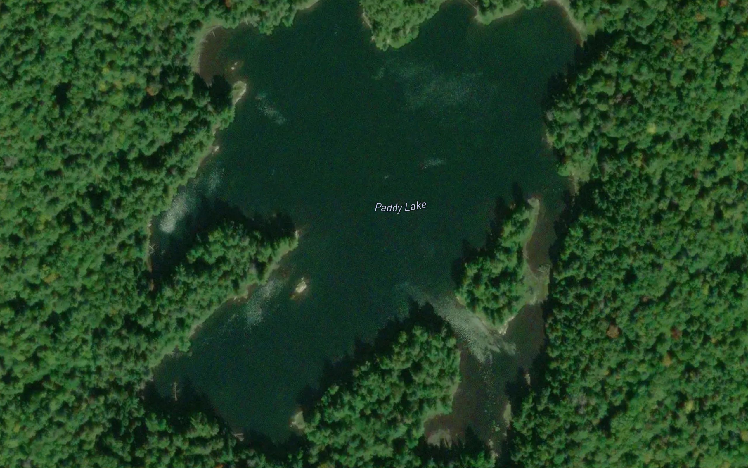 Paddy Lake