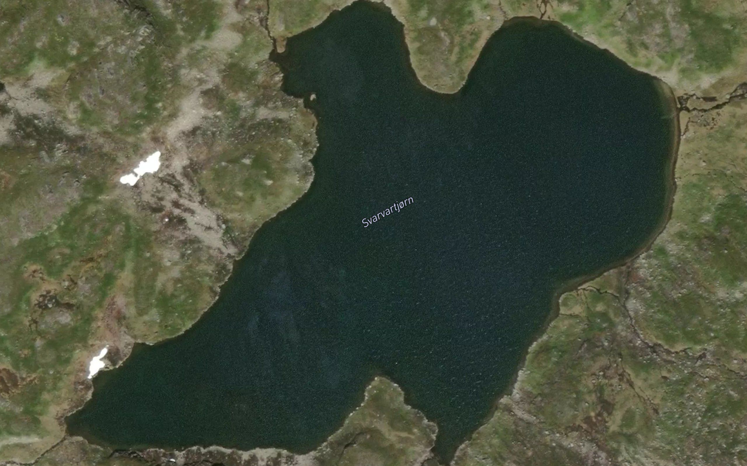 Svorvartjonni
