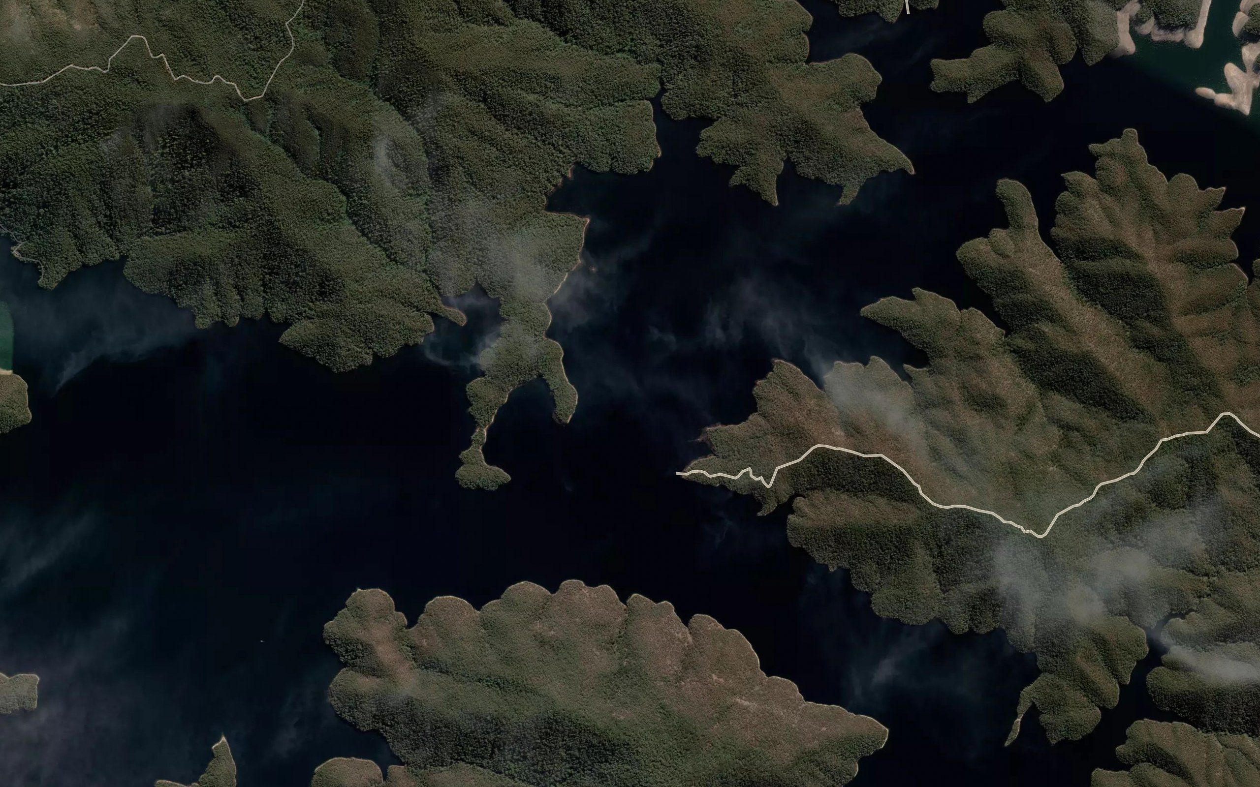 Dart River