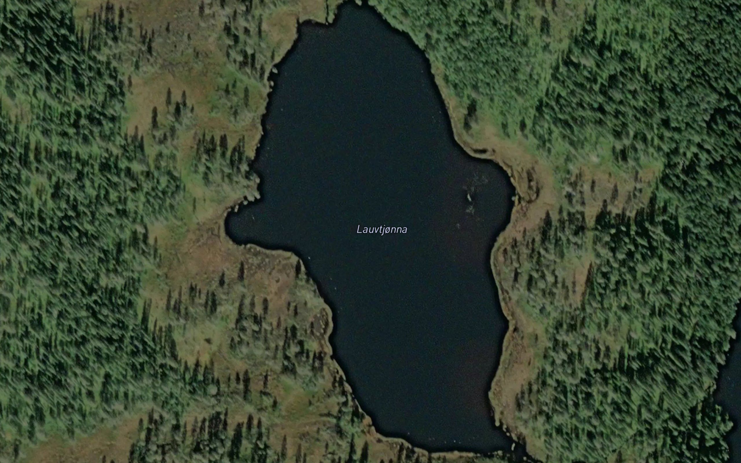 Lauvtjorna