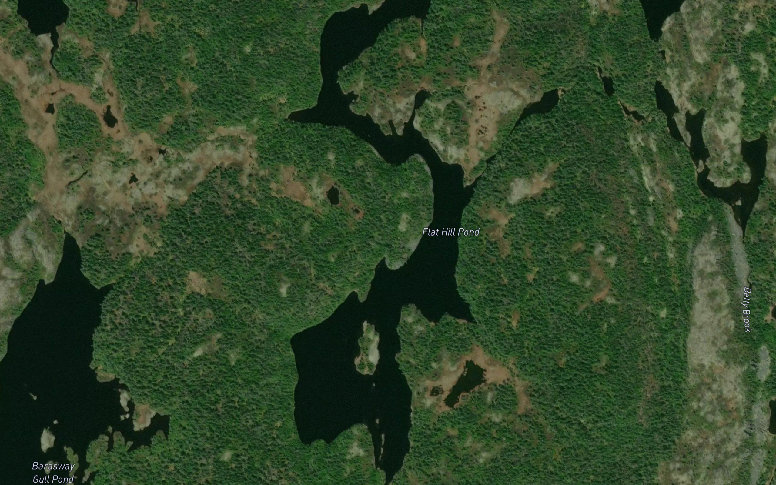 Flat Hill Pond